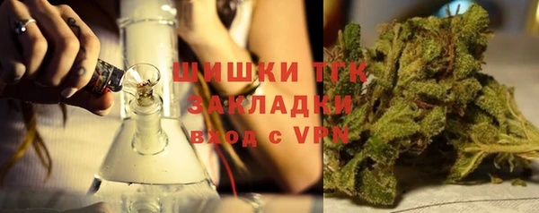 прущий лед Богданович
