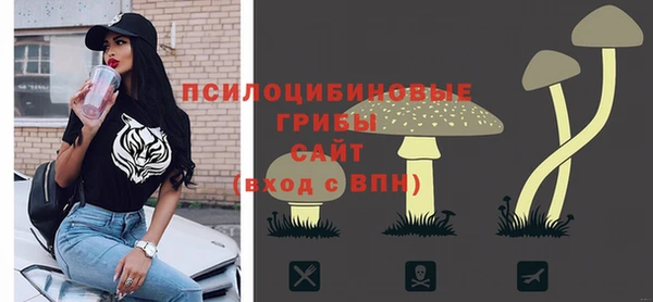 прущий лед Богданович
