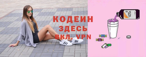 индика Богородск