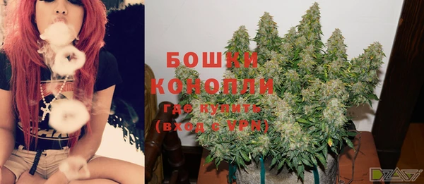 индика Богородск