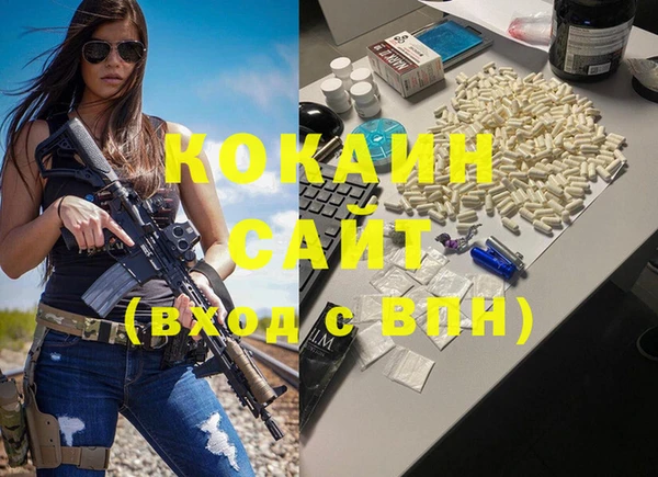 индика Богородск