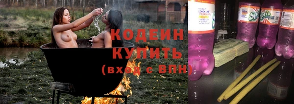 прущий лед Богданович