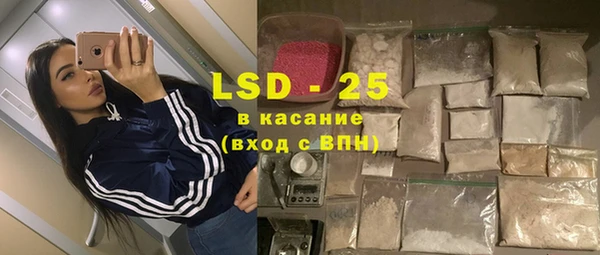 индика Богородск