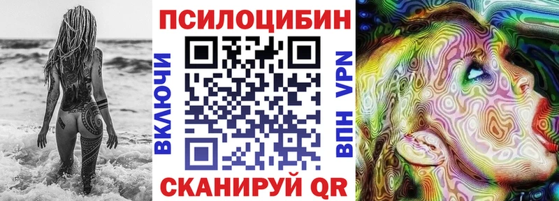 хочу наркоту  Верещагино  Галлюциногенные грибы Magic Shrooms 